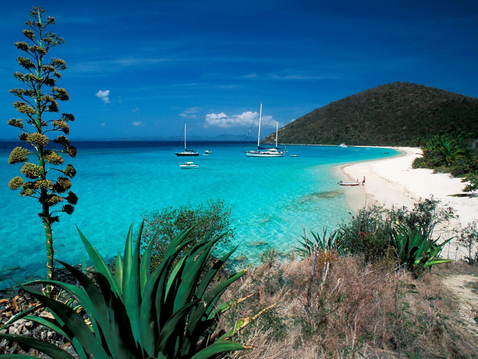 Caribbean,-,British,Virgin,Islands,-,Jost,Van,Dyke,Island
