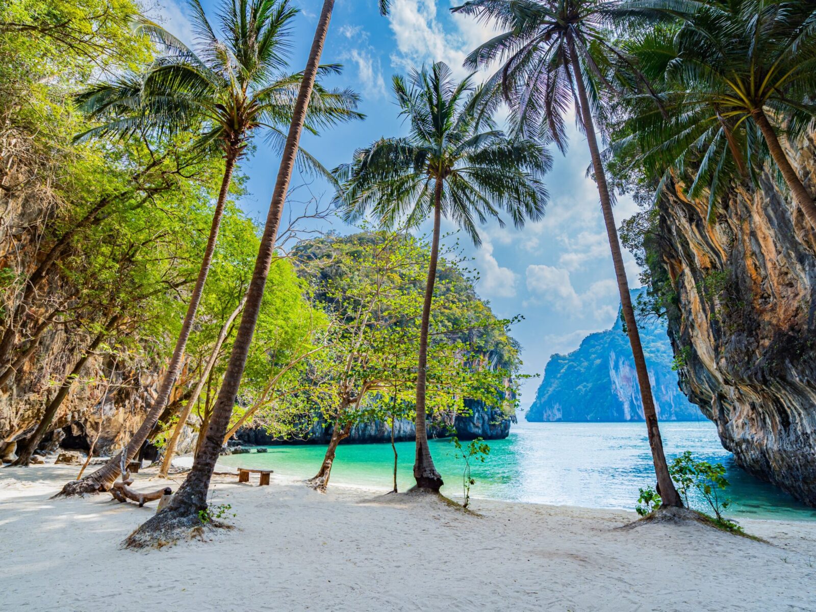 The,View,Of,The,Sandy,Beach,With,Coconut,Trees,Growing