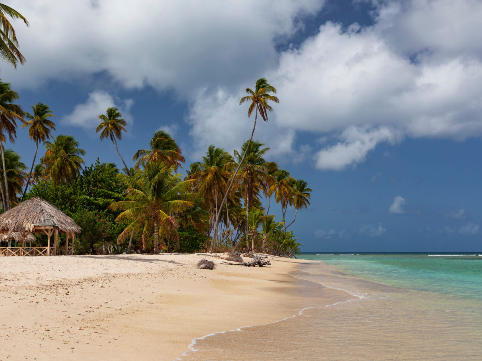 St.,Vincent,And,The,Grenadines,,The,Tobago,Cays,Are,A