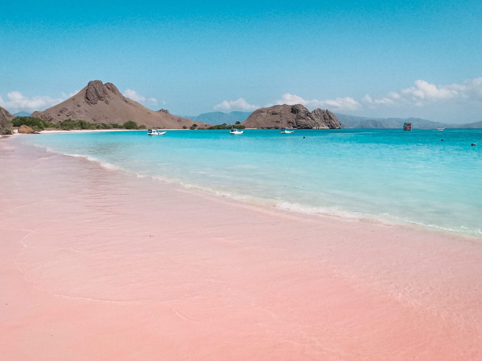 Pink,Sand,Beach,With,Turquoise,Water,In,Komodo,National,Park,