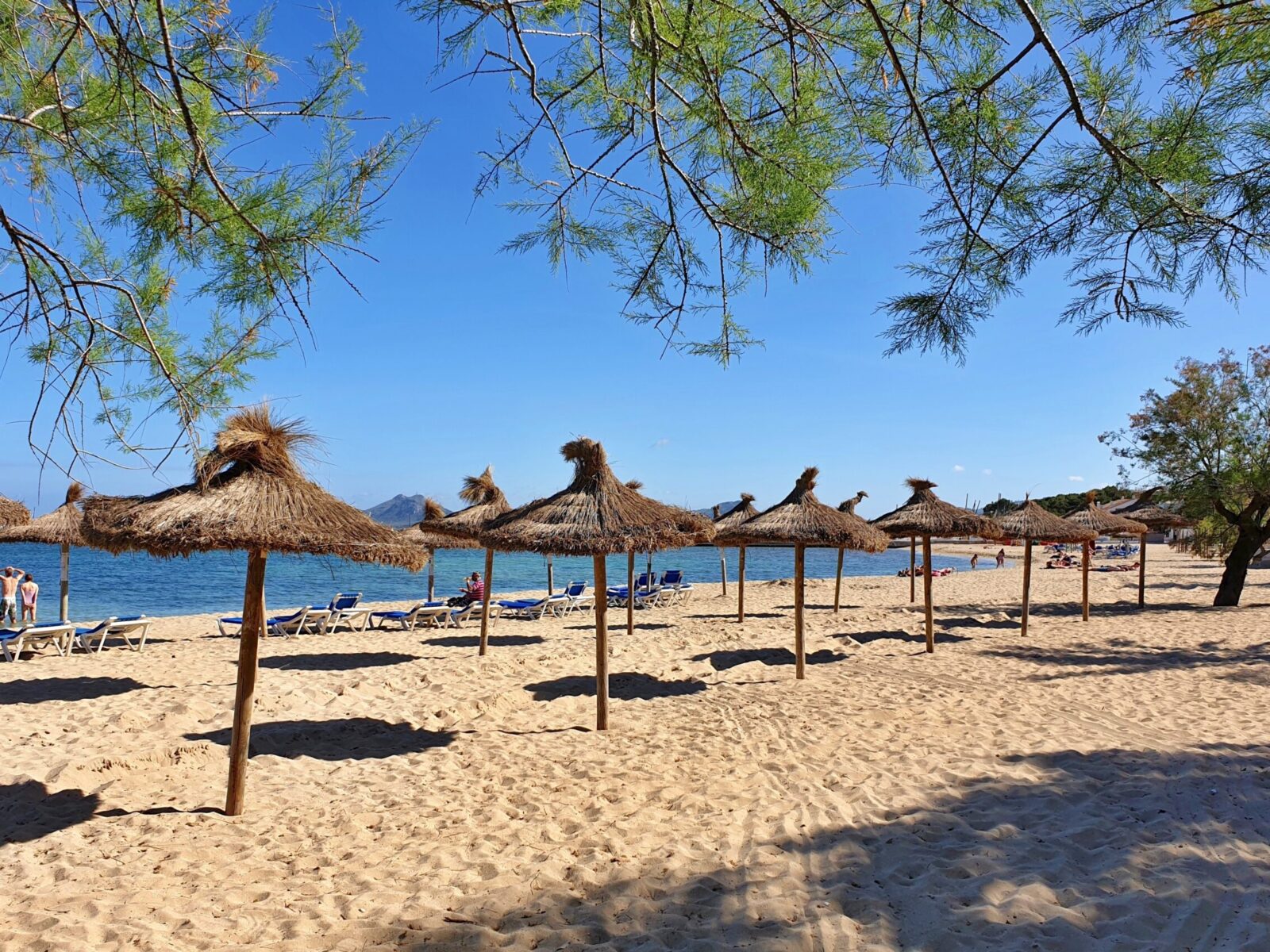 Port,De,Pollença,,Mallorca,,Spain,-,May,11,2019:,A