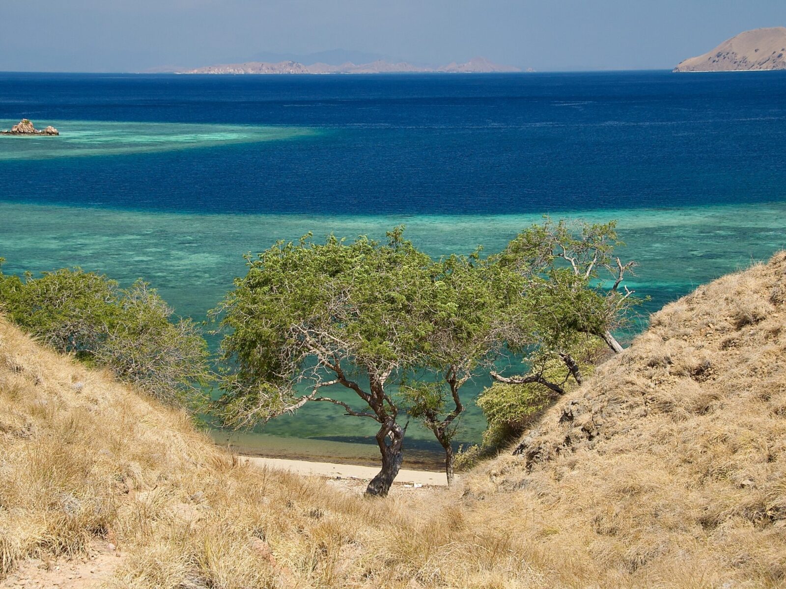 Pulau,Rinca,Lesser,Sunda,Islands,Unesco,World,Heritage,Site,Komodo