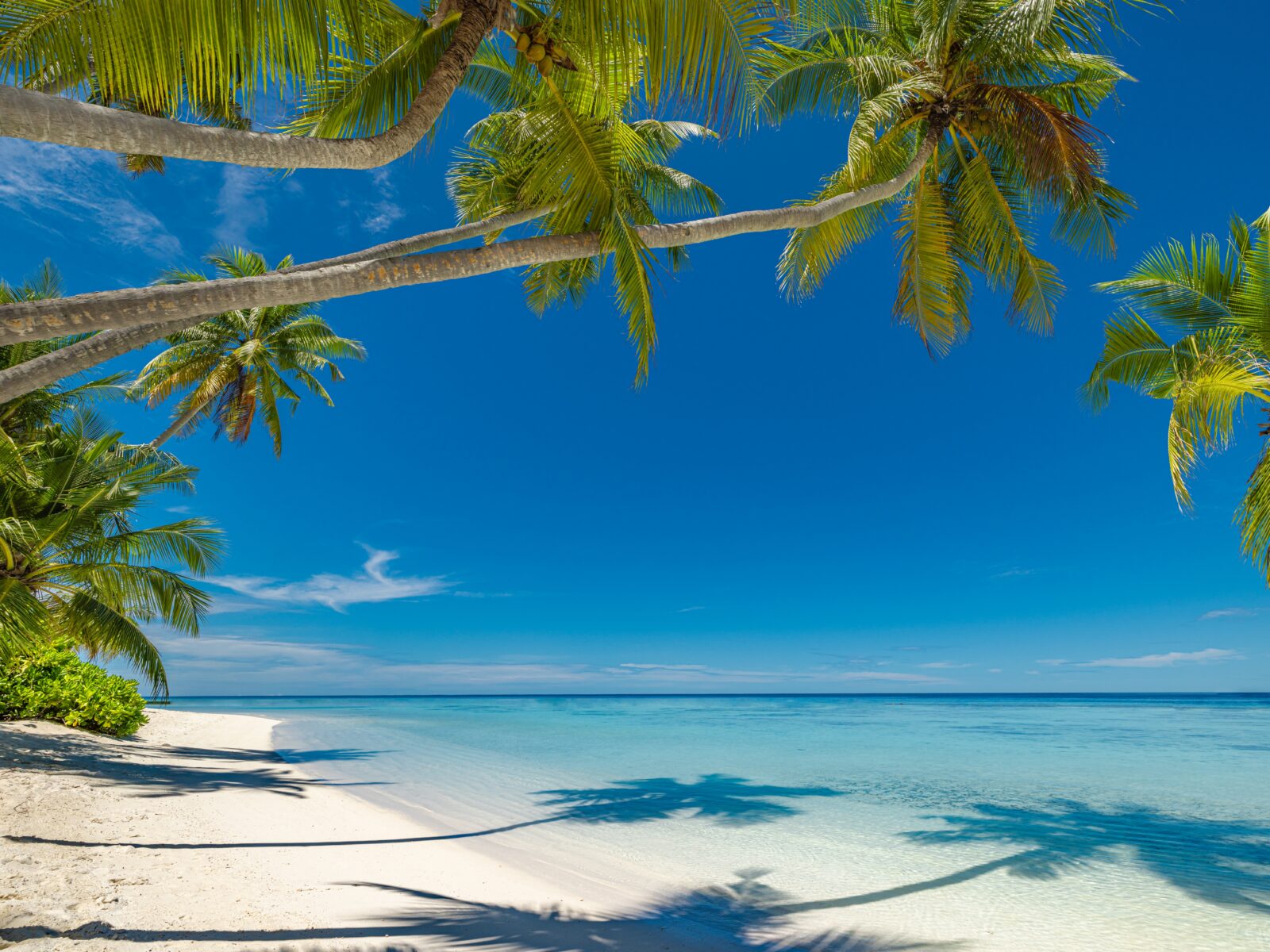 Perfect,Island,Beach,Coast.,Tropical,Travel,Landscape,Of,Summer,Paradise.