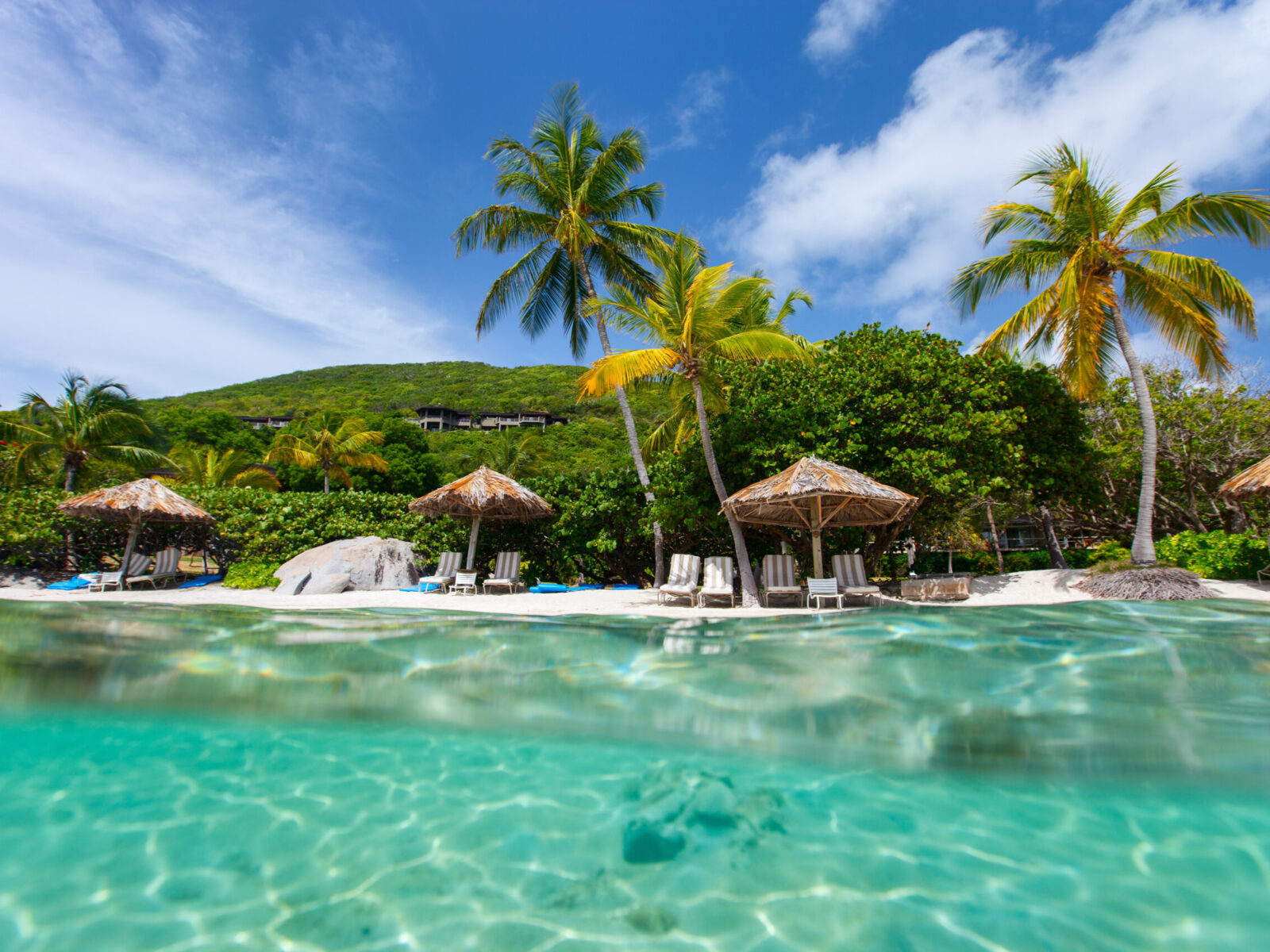 Beautiful,Tropical,Beach,With,Palm,Trees,,White,Sand,,Turquoise,Ocean