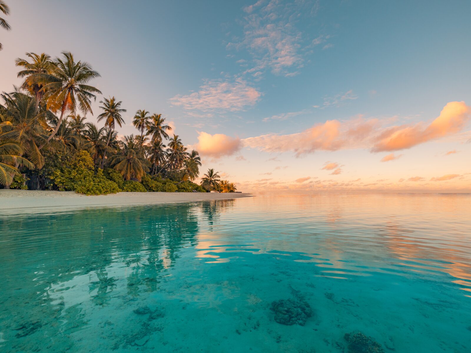 Summer,Island,Palm,Tree,Sea,Sand,Beach.,Panoramic,Beach,Landscape.