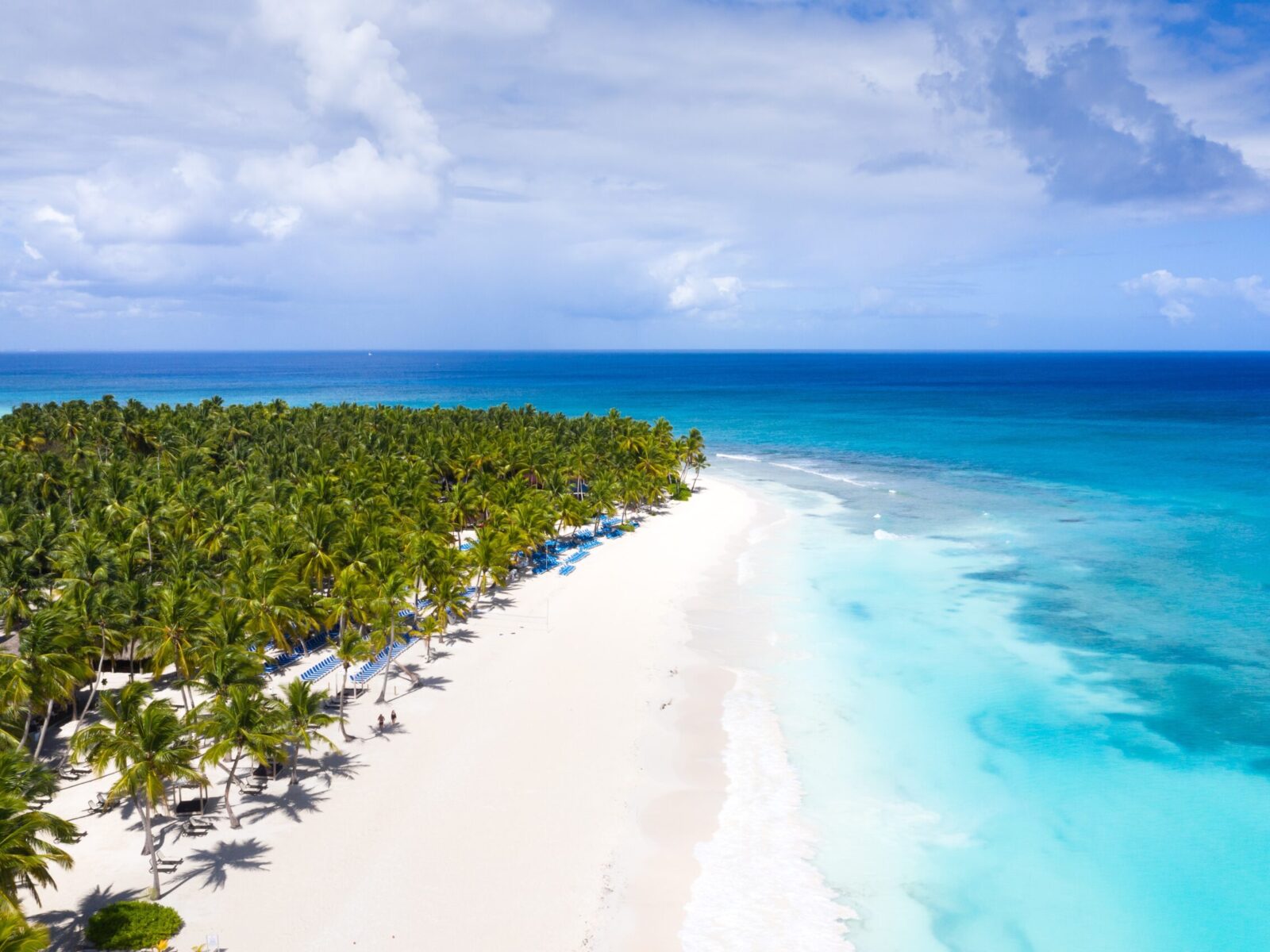 CARIBBEAN photo