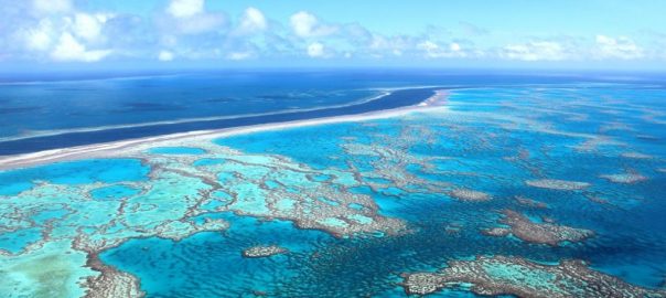 HELICOPTER TO YOUR YACHT CHARTER ON THE GREAT BARRIER REEF