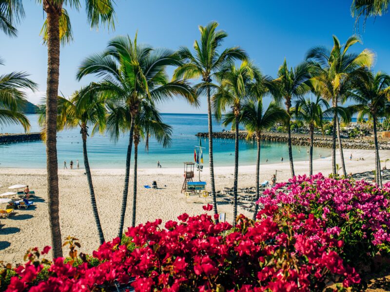 View,Of,A,Tropical,Beach,In,Spain,,Anfi,Del,Mar