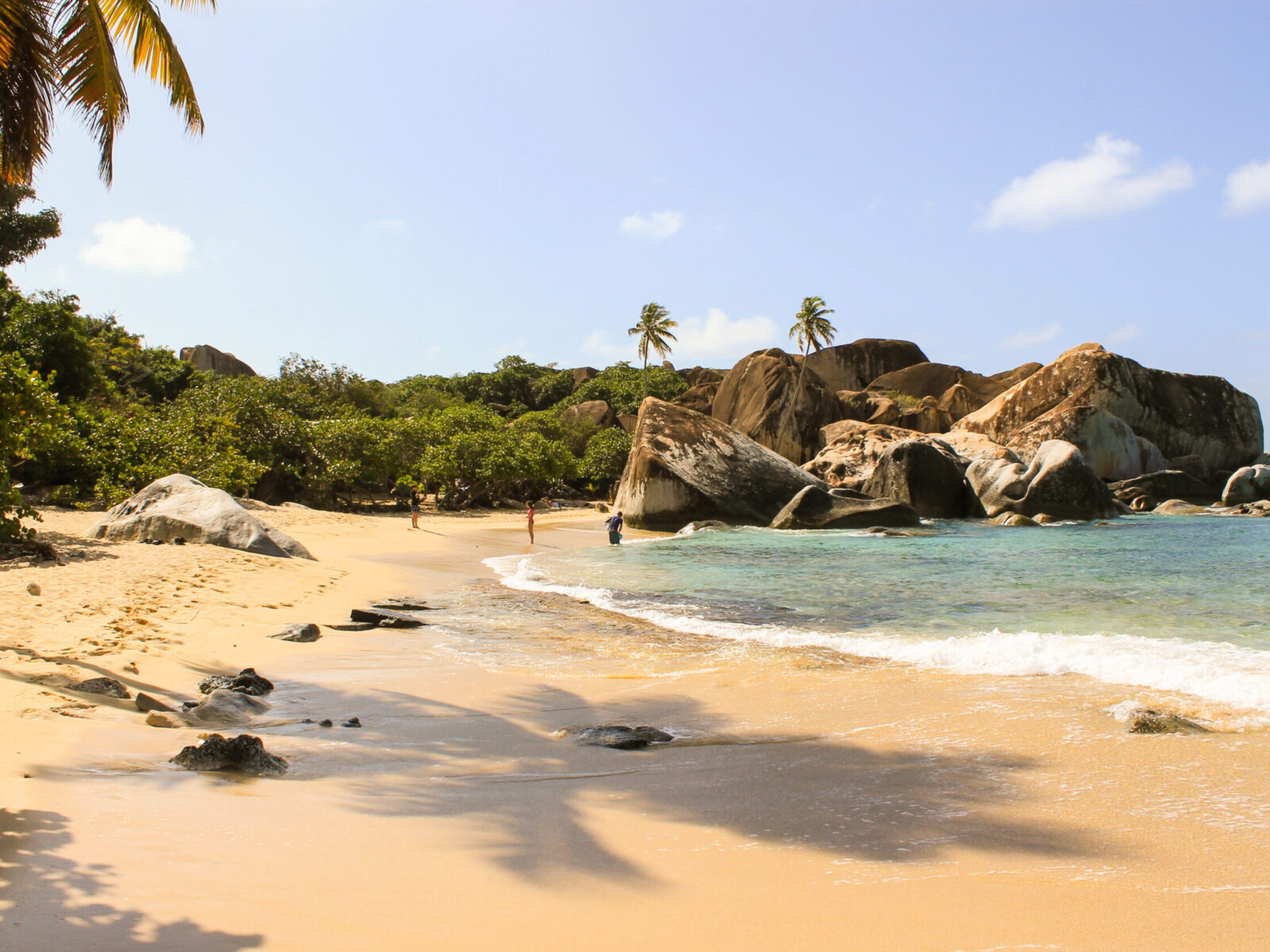 Beach,At,Virgin,Islands,With,Palm,Tree,Shadow