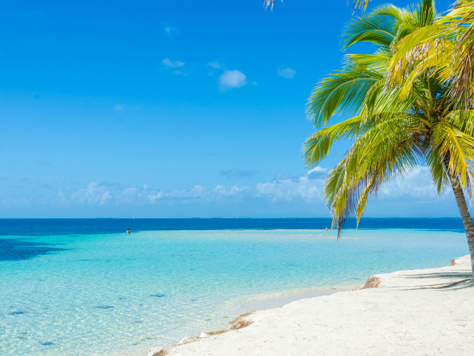 Belize,Cayes,-,Small,Tropical,Island,At,Barrier,Reef,With
