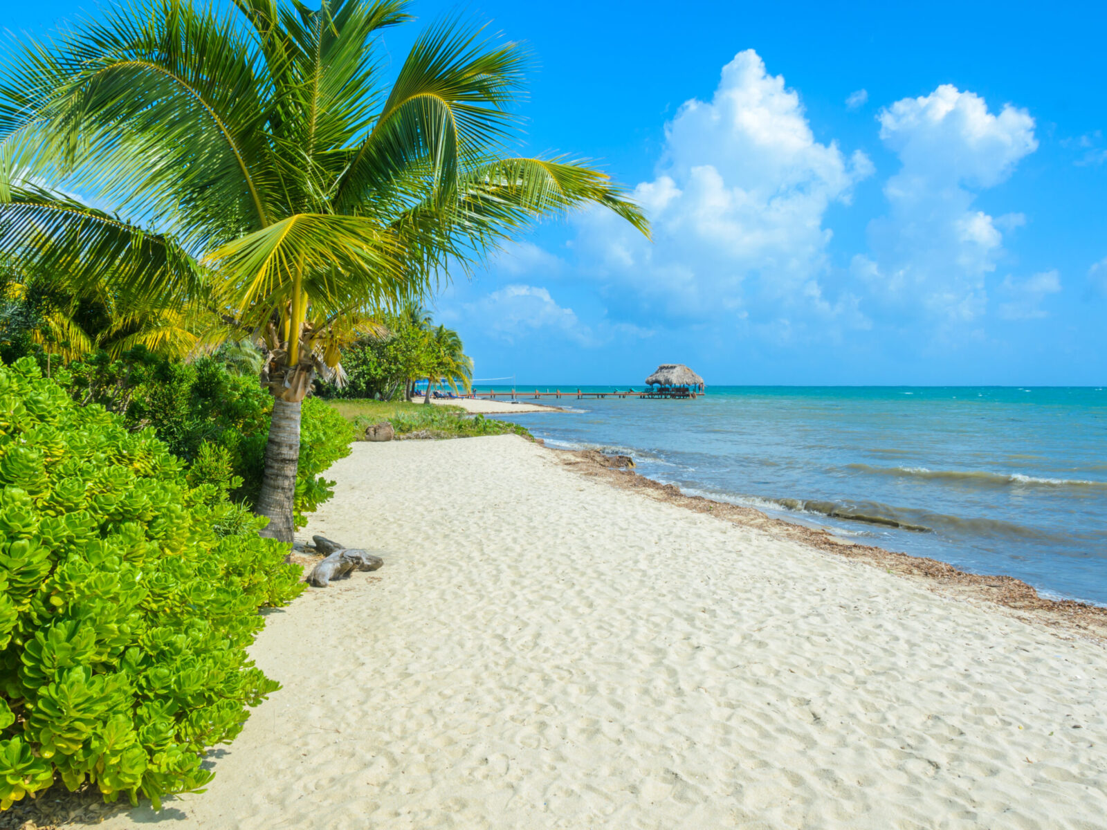 Paradise,Beach,In,Placencia,,Tropical,Coast,Of,Belize,,Caribbean,Sea,