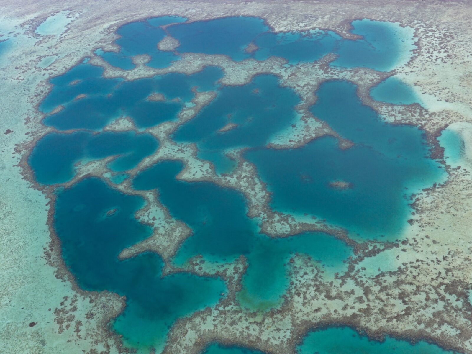 A,Scenic,Maze,Of,Coral,Reefs,Grows,Near,Viti,Levu
