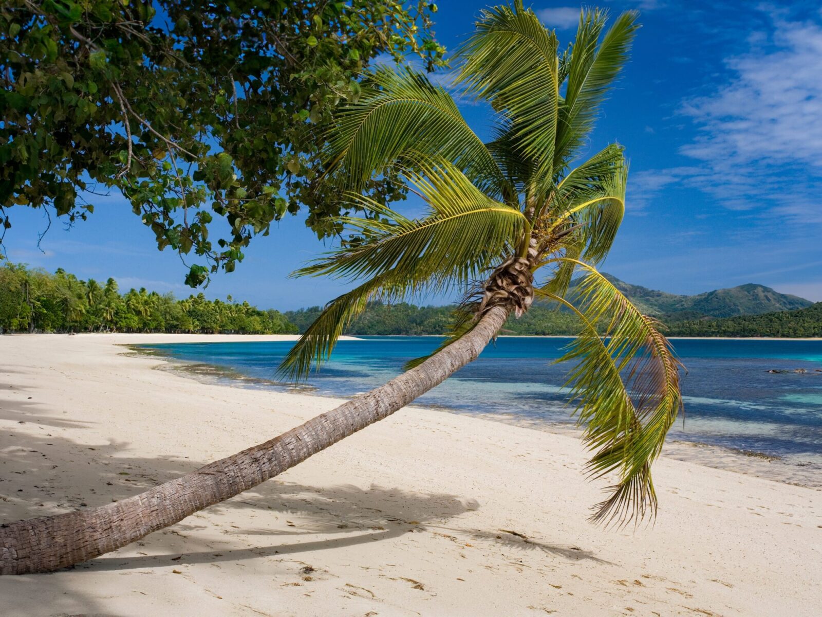 Tropical,Paradise,In,The,Yasawa,Islands,Of,Fiji,In,The