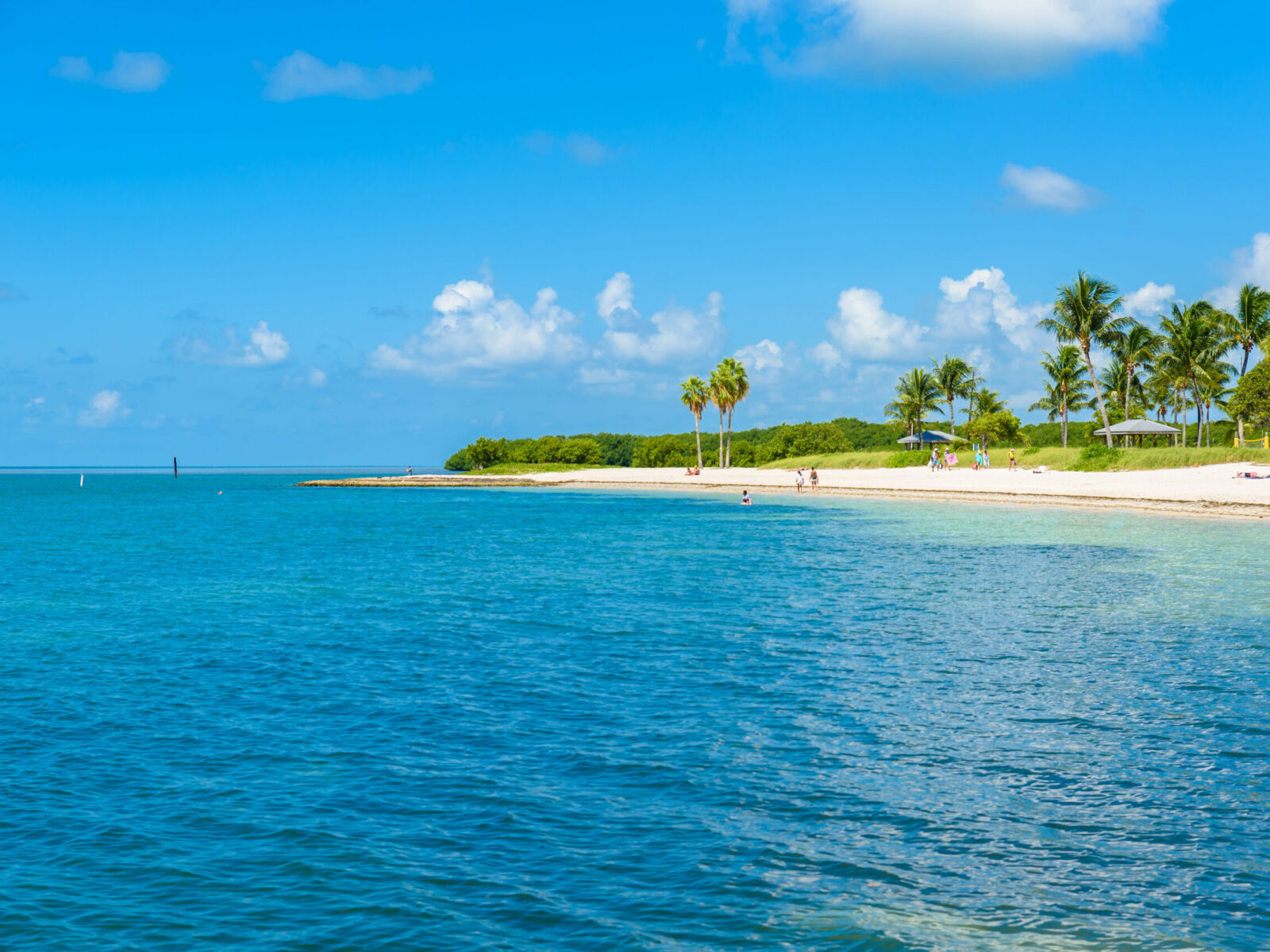 Sombrero,Beach,With,Palm,Trees,On,The,Florida,Keys,,Marathon,